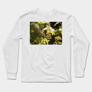 Monarchs of Mexico III Long Sleeve T-Shirt